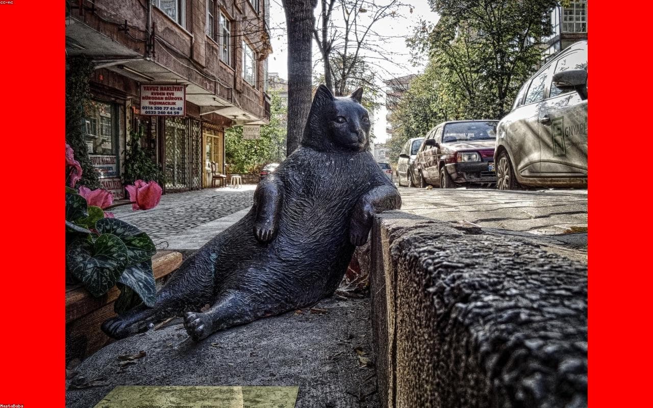 Texas tiene la tasa más alta de personas sin seguro médico del país, revela informe - Dallas News